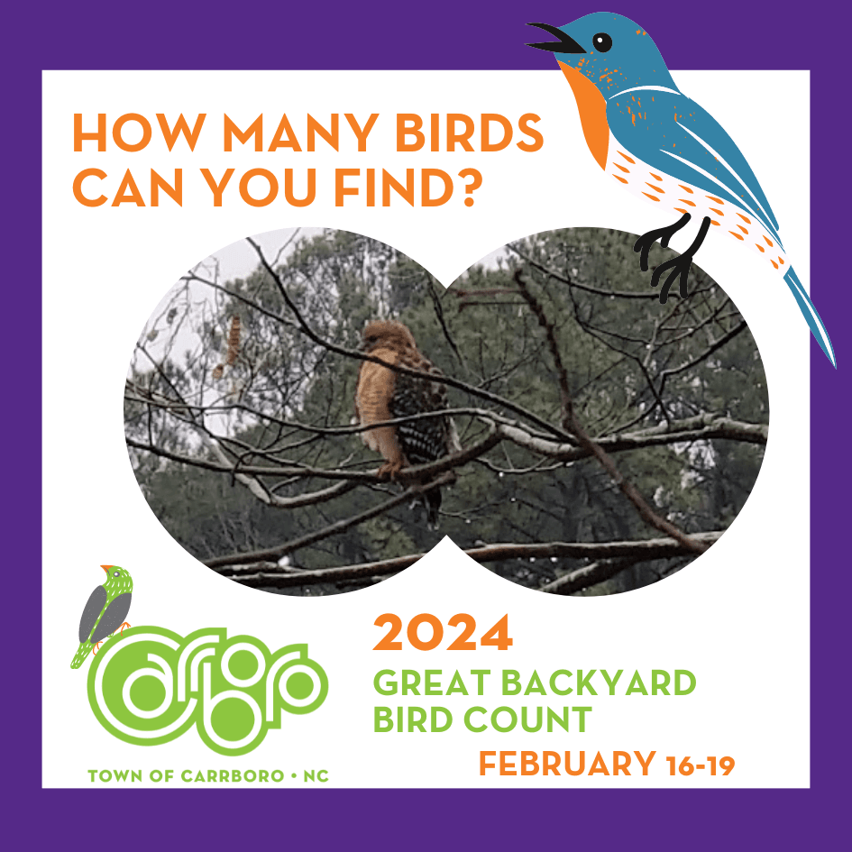2023 Great Backyard Bird Count