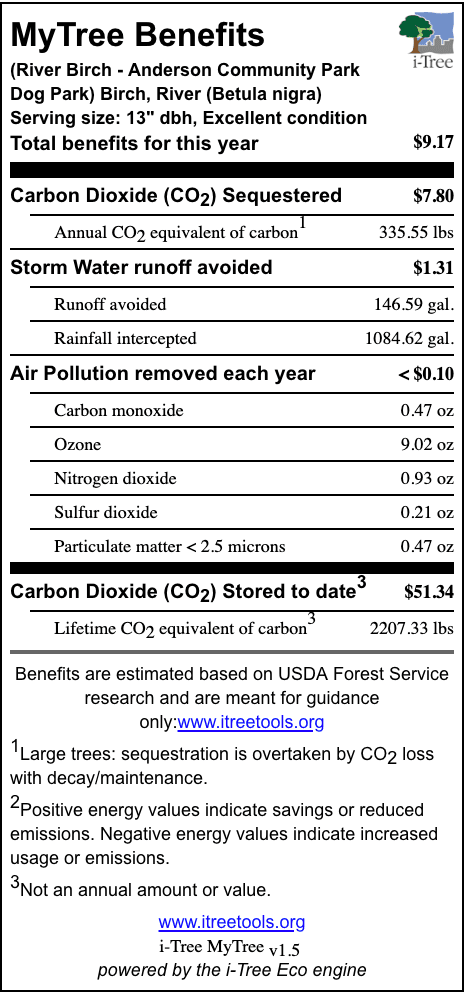 River Birch Anderson Community Park